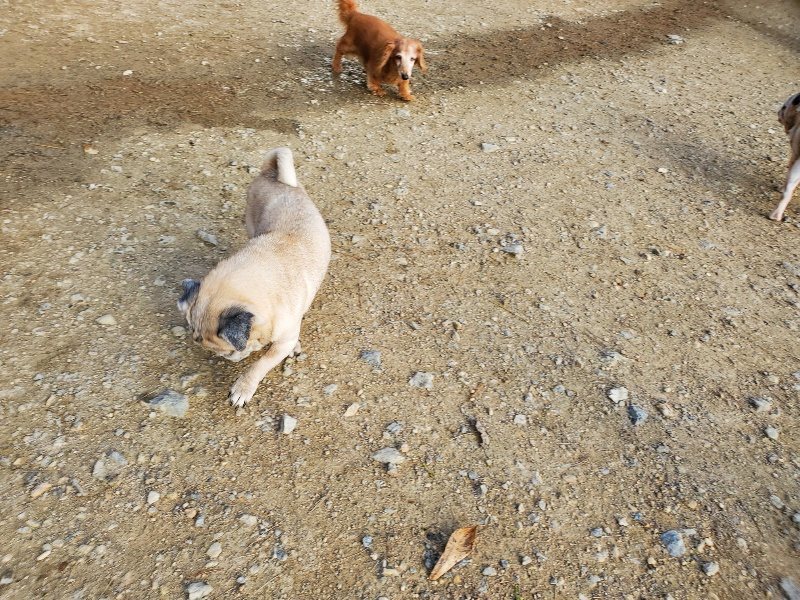 f:id:roukenhome-ann:20191028071341j:plain