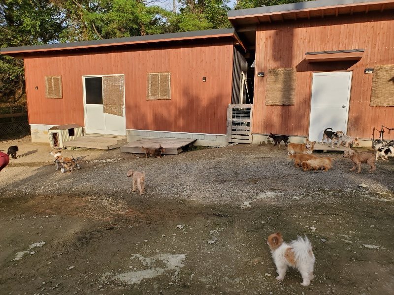 f:id:roukenhome-ann:20191028071511j:plain