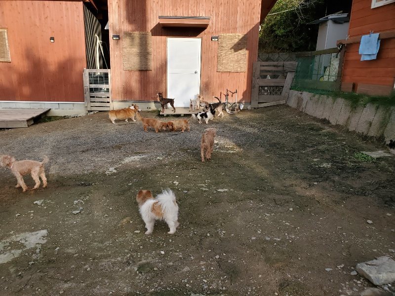 f:id:roukenhome-ann:20191028071517j:plain
