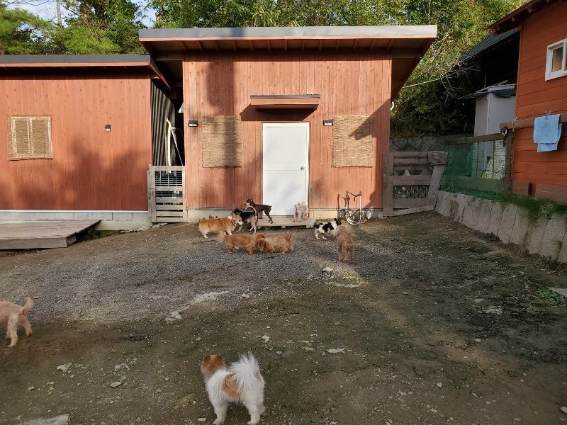 f:id:roukenhome-ann:20191028071525j:plain