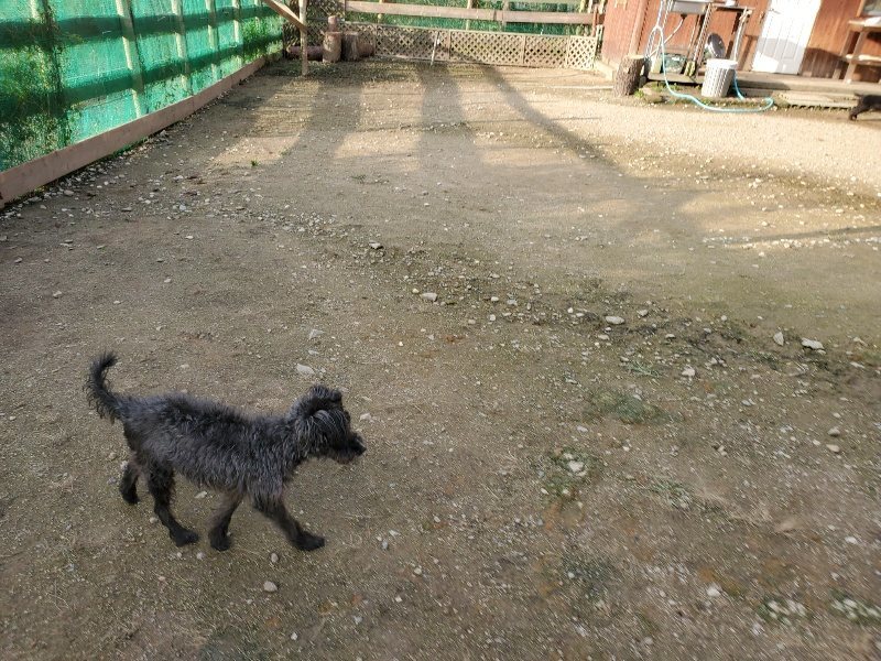 f:id:roukenhome-ann:20191028071533j:plain