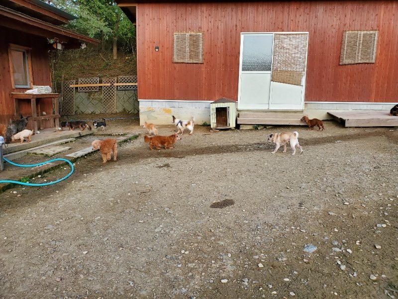 f:id:roukenhome-ann:20191028071542j:plain
