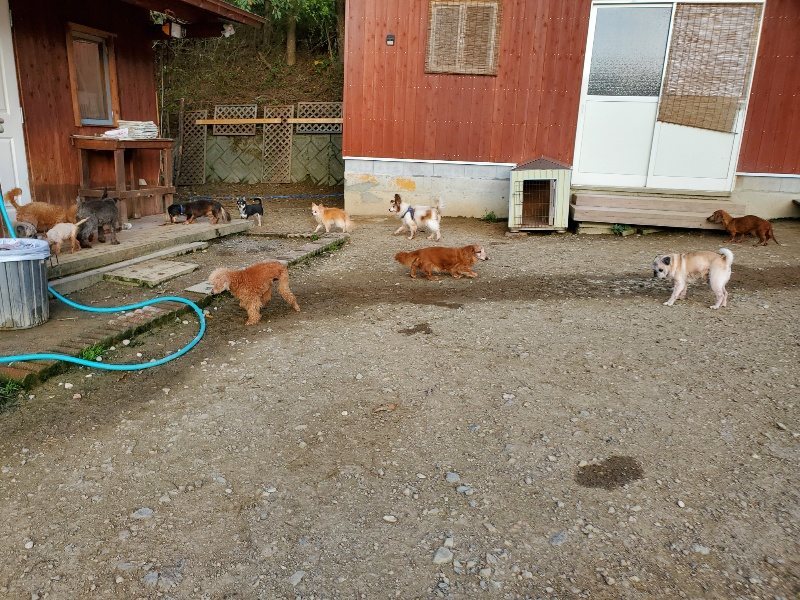 f:id:roukenhome-ann:20191028071552j:plain