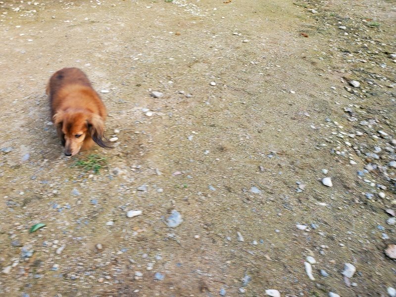 f:id:roukenhome-ann:20191028071600j:plain