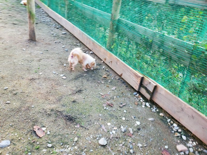 f:id:roukenhome-ann:20191028071625j:plain