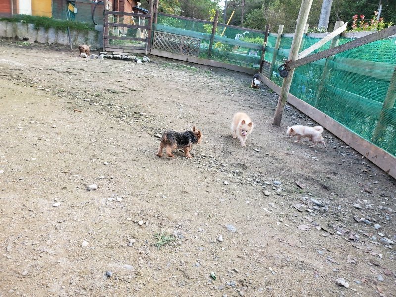 f:id:roukenhome-ann:20191028071634j:plain