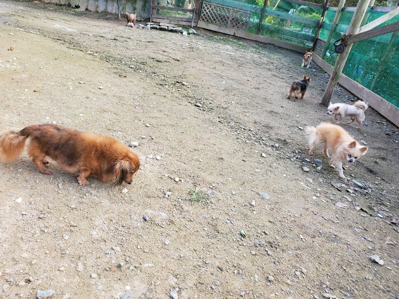 f:id:roukenhome-ann:20191028071640j:plain