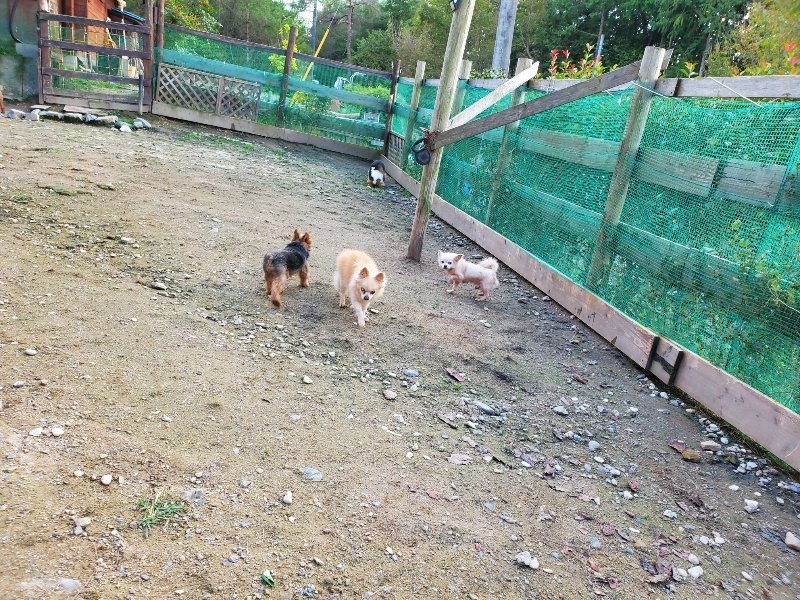 f:id:roukenhome-ann:20191028071652j:plain