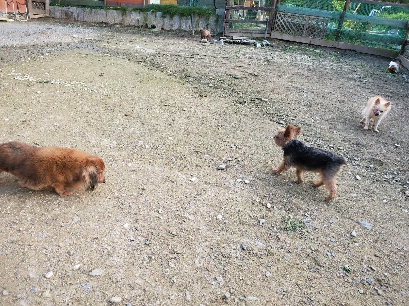 f:id:roukenhome-ann:20191028071658j:plain
