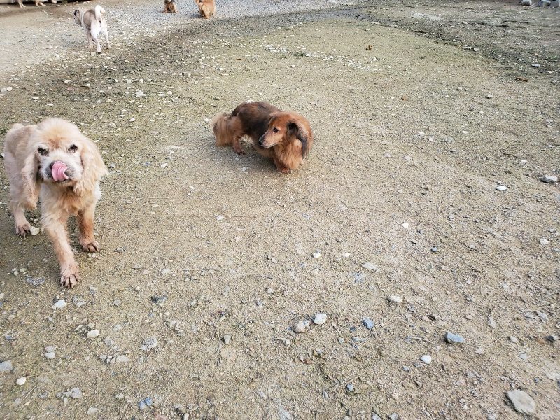 f:id:roukenhome-ann:20191028071709j:plain