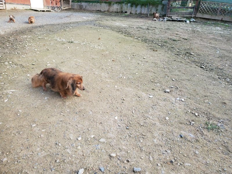 f:id:roukenhome-ann:20191028071716j:plain