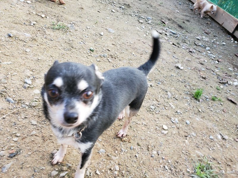 f:id:roukenhome-ann:20191028071723j:plain