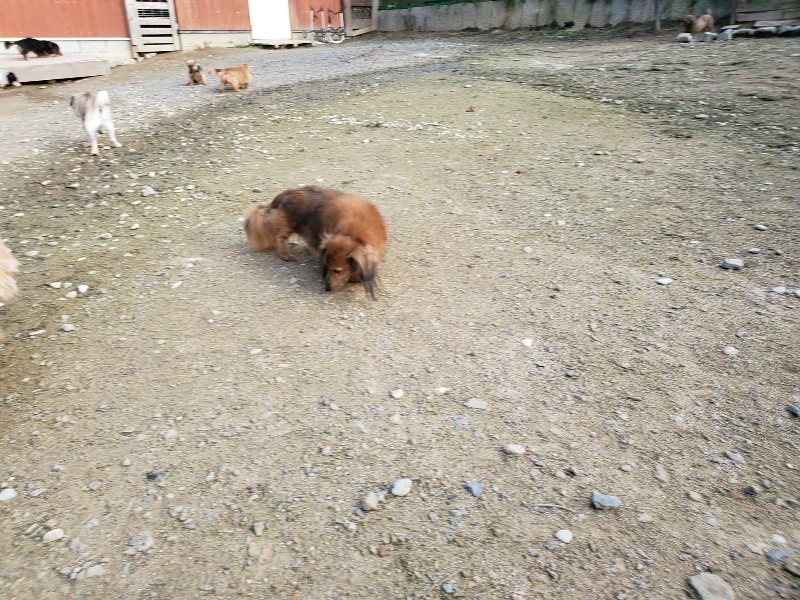 f:id:roukenhome-ann:20191028071729j:plain