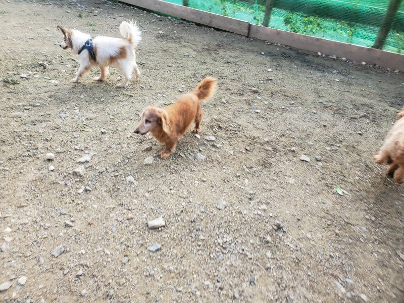f:id:roukenhome-ann:20191028071755j:plain