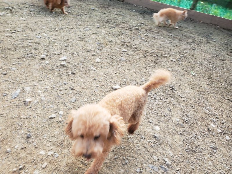 f:id:roukenhome-ann:20191028071806j:plain