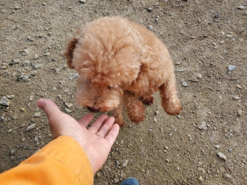 f:id:roukenhome-ann:20191028071814j:plain
