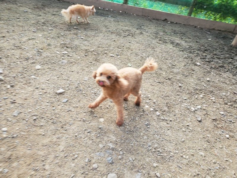 f:id:roukenhome-ann:20191028071830j:plain