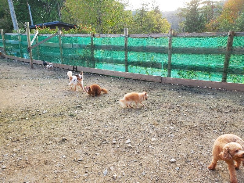 f:id:roukenhome-ann:20191028071837j:plain