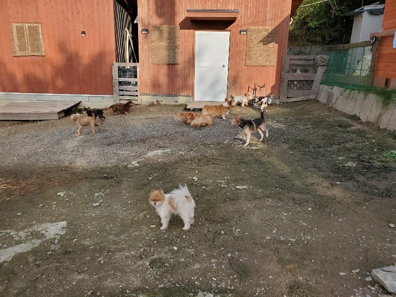 f:id:roukenhome-ann:20191028071913j:plain