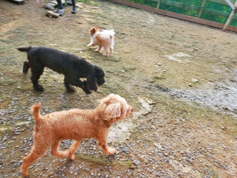 f:id:roukenhome-ann:20191028072030j:plain