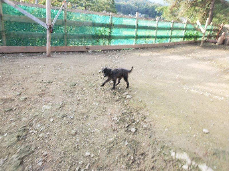 f:id:roukenhome-ann:20191028072134j:plain