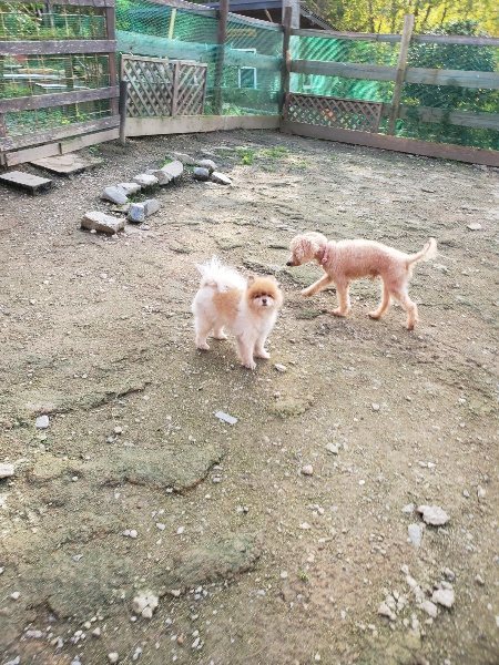 f:id:roukenhome-ann:20191028072156j:plain