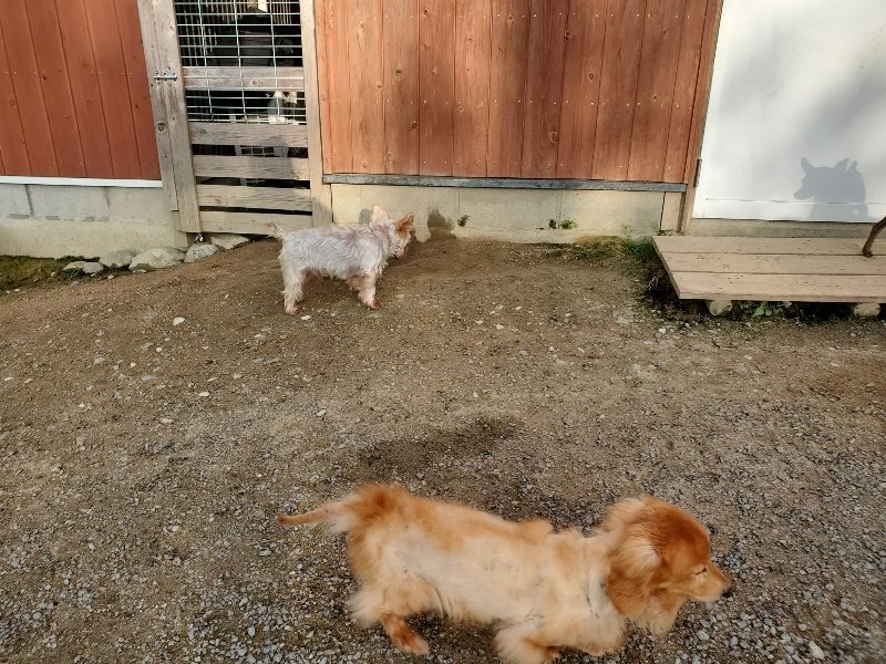 f:id:roukenhome-ann:20191028072227j:plain
