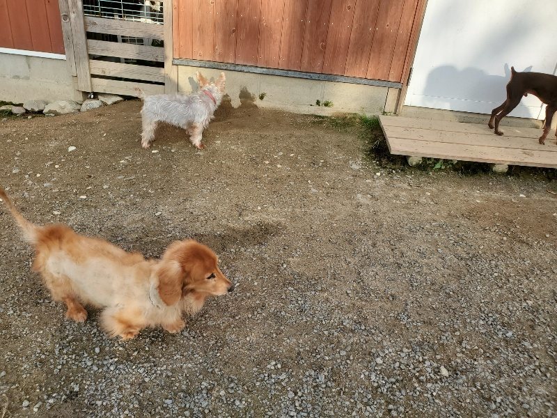 f:id:roukenhome-ann:20191028072237j:plain