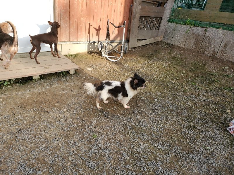 f:id:roukenhome-ann:20191028072246j:plain