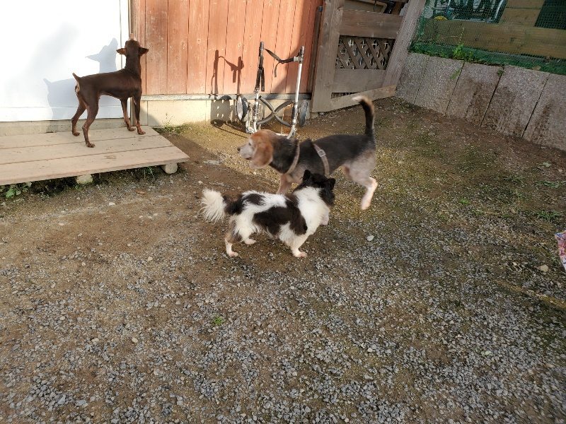 f:id:roukenhome-ann:20191028072252j:plain