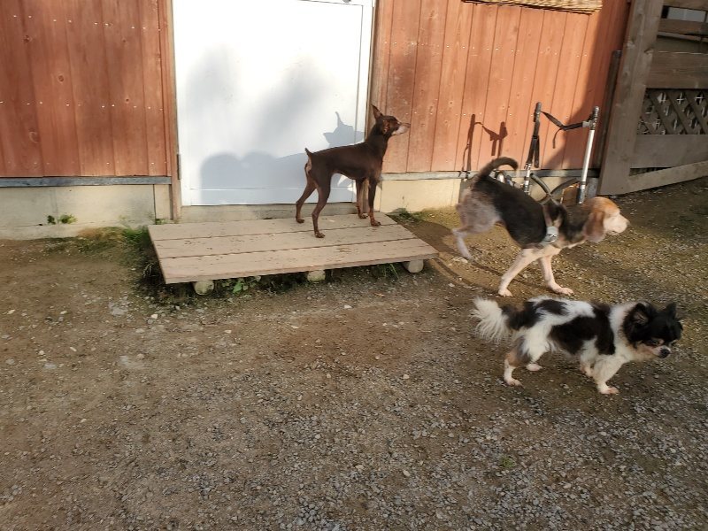 f:id:roukenhome-ann:20191028072257j:plain
