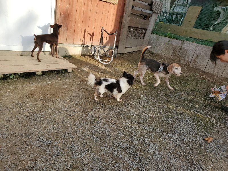 f:id:roukenhome-ann:20191028072308j:plain