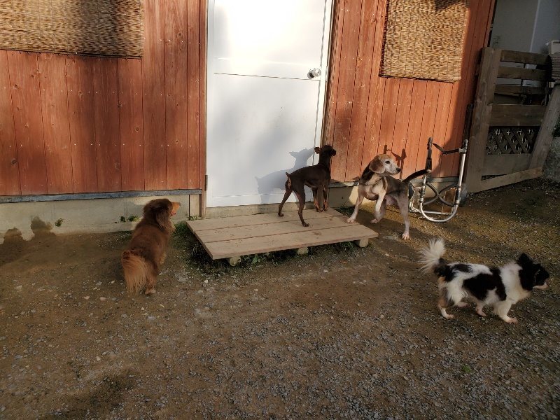 f:id:roukenhome-ann:20191028072316j:plain