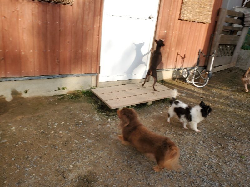 f:id:roukenhome-ann:20191028072322j:plain