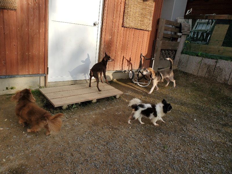 f:id:roukenhome-ann:20191028072338j:plain