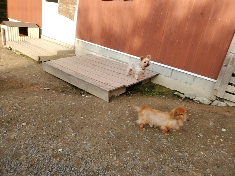 f:id:roukenhome-ann:20191028072344j:plain