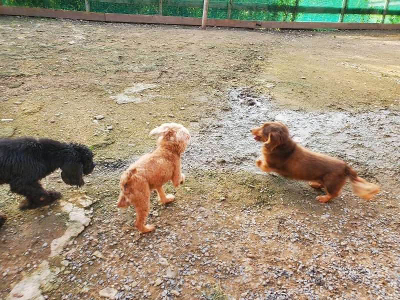 f:id:roukenhome-ann:20191028072412j:plain