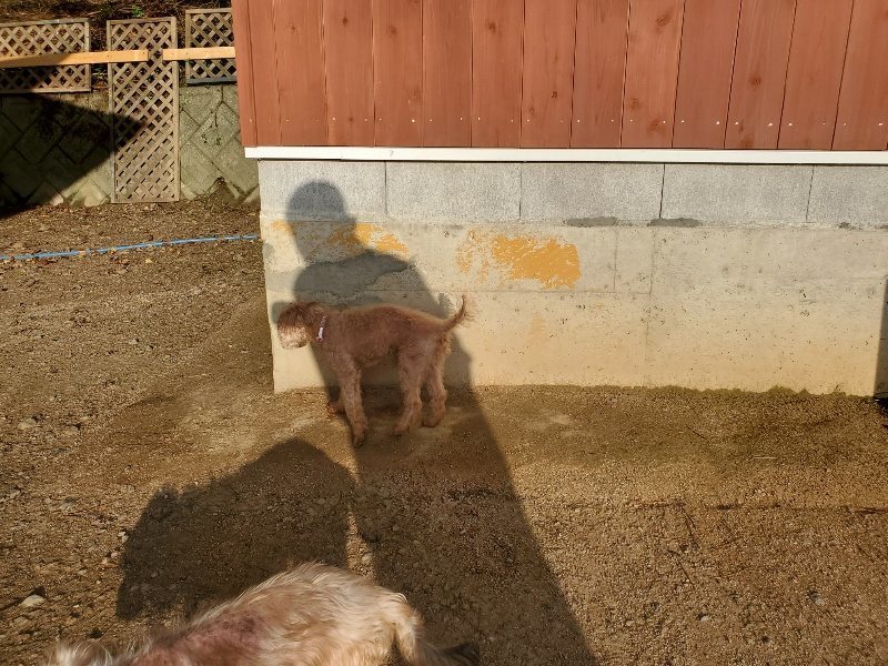 f:id:roukenhome-ann:20191028073128j:plain