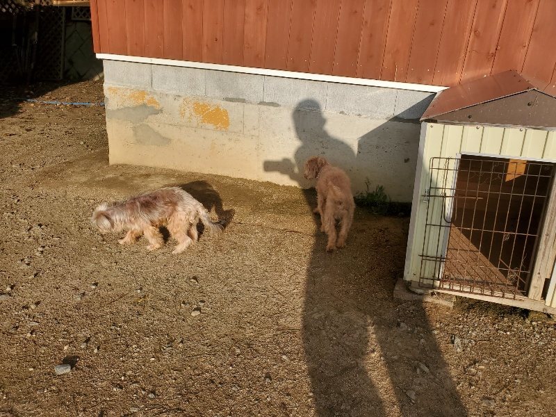 f:id:roukenhome-ann:20191028073139j:plain
