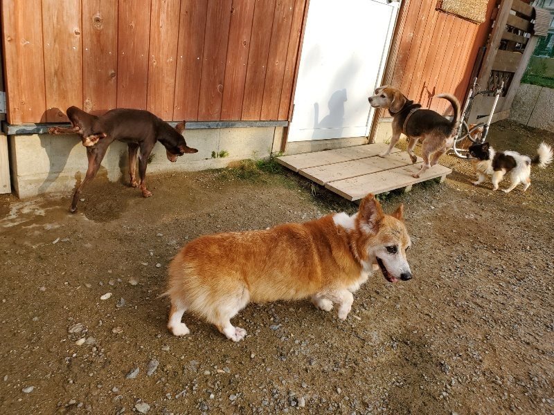 f:id:roukenhome-ann:20191028073256j:plain