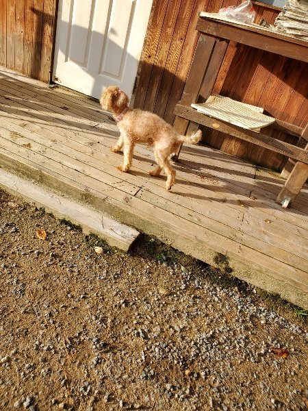 f:id:roukenhome-ann:20191028073457j:plain