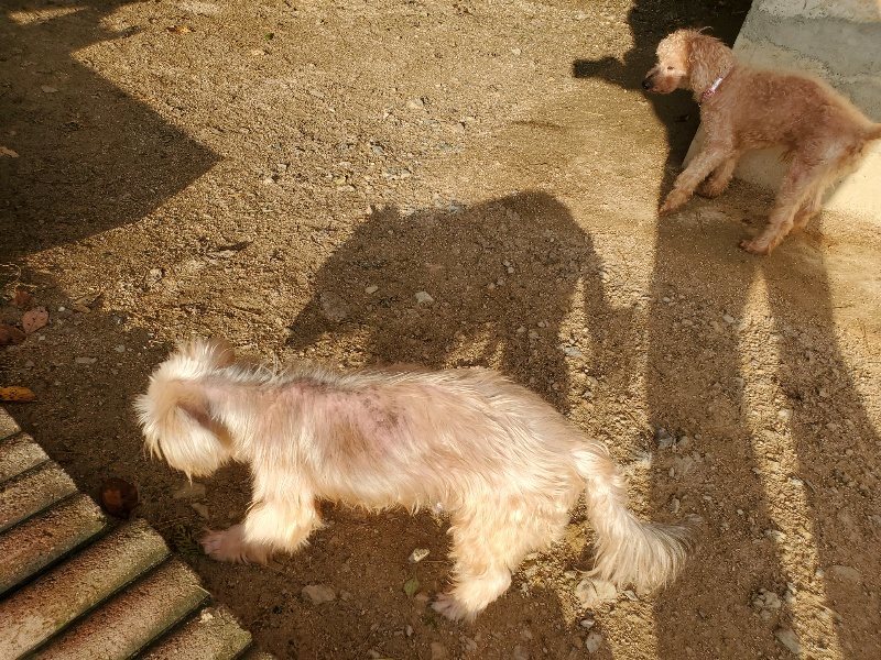 f:id:roukenhome-ann:20191028073525j:plain