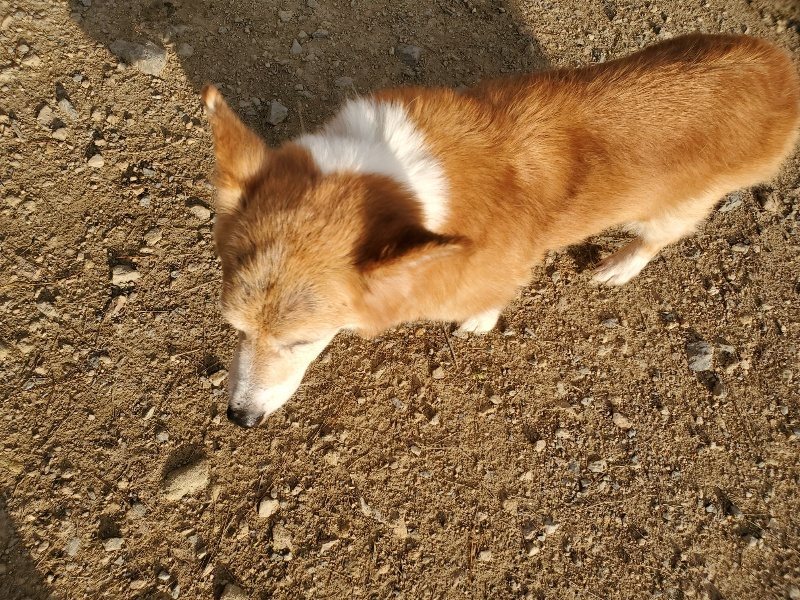 f:id:roukenhome-ann:20191028073818j:plain