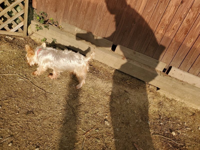 f:id:roukenhome-ann:20191028073853j:plain
