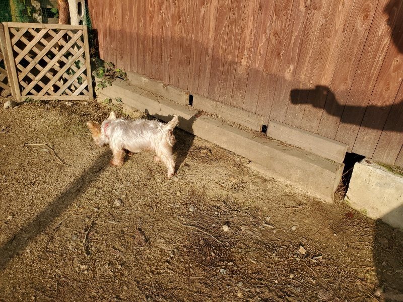 f:id:roukenhome-ann:20191028073913j:plain