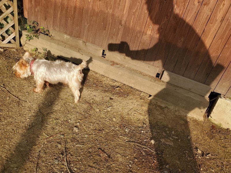 f:id:roukenhome-ann:20191028073919j:plain