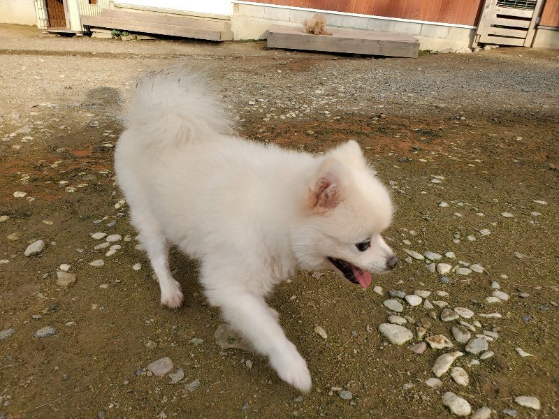 f:id:roukenhome-ann:20191028073953j:plain