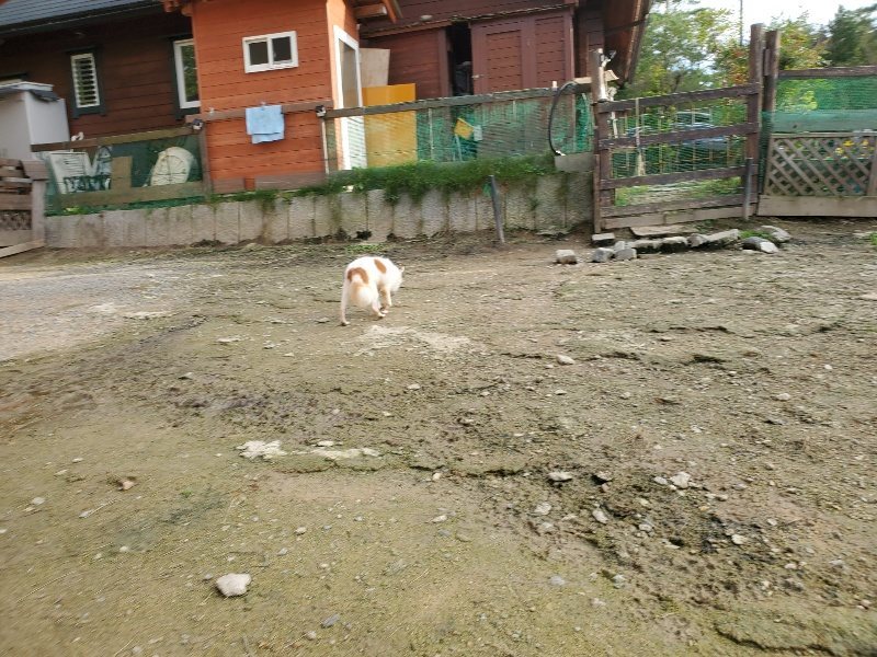 f:id:roukenhome-ann:20191028074000j:plain