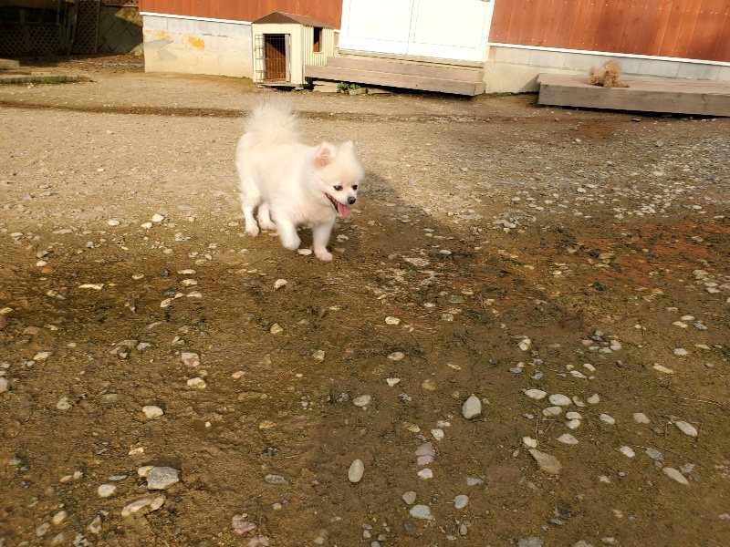 f:id:roukenhome-ann:20191028074018j:plain