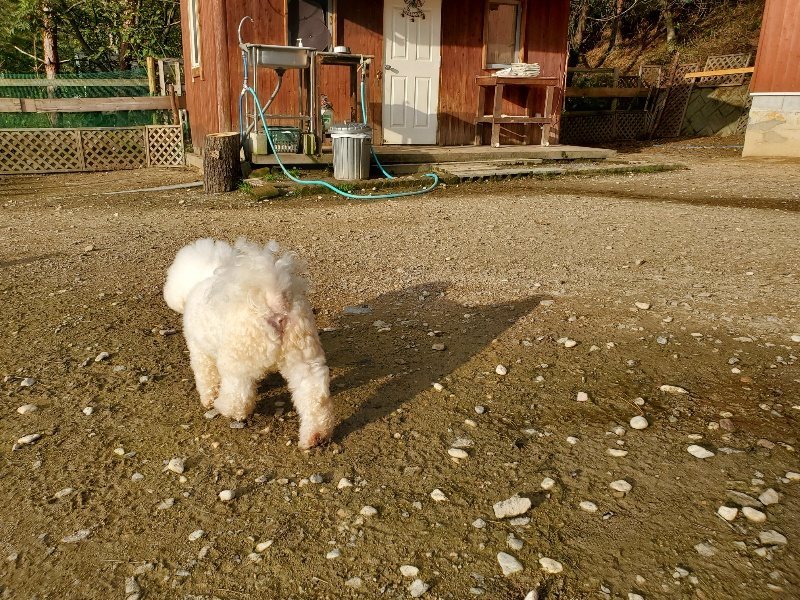 f:id:roukenhome-ann:20191028074023j:plain
